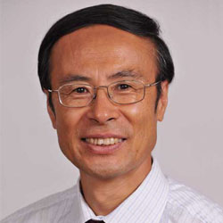Li-Jun Wan